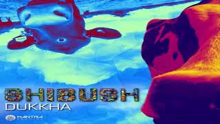 shibush - dukkha (polar energy remix)