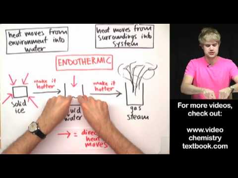 Is burning wood endothermic or exothermic?
