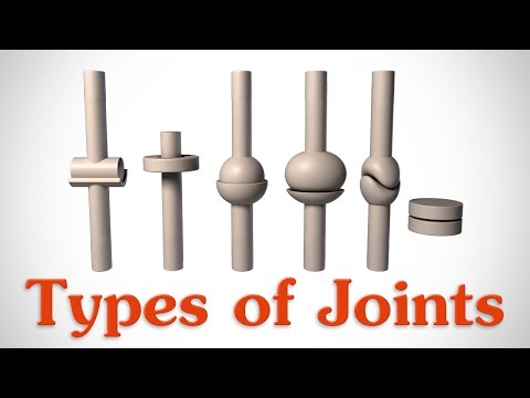 What are the 4 types of joints and examples?