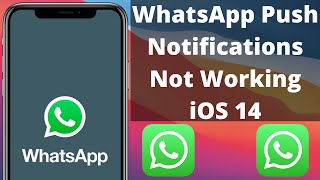 How to Fix WhatsApp Push Notifications Not Working on iPhone