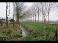 Weerbericht Donderdagochtend: Regen en wind