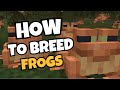 How to Breed Frogs in Minecraft | Slime & Tadpole Guide (2025)