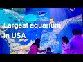 Discover The Biggest Aquarium in usa.Georgia Aquarium .#familytime #adventure #georgiaaquarium