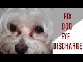 How to fix dog eye discharge