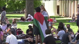 Pro-Palestine protest at the University of Virginia