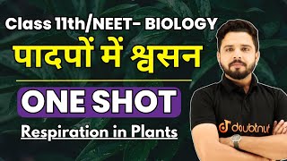 पादप में श्वसन Class 11 Biology | Respiration in Plants One Shot | Padap Me Swasan | Yogesh Sir