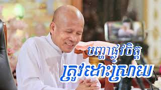 បញ្ហាផ្លូវចិត្ត ត្រូវដោះស្រាយ /លោកគ្រូអគ្គបណ្ឌិត ប៊ុត សាវង្ស-Buth Savong/02/12/2024