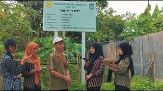 WAWANCARA NARASUMBER PERTANIAN GREEN HOUSE