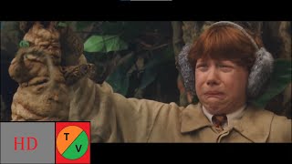 Mandrake - Harry Potter and the Chamber of Secrets