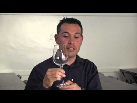 Ferran Contell on Ferran Contell on