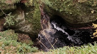 🌊 Flowing Water from a Mysterious Scottish Ravine – Relaxing Sound from the Depths of Nature 🌲