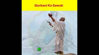 Qurbani Ka Sawab 🐑 #shorts #islam #short