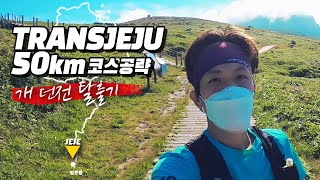 트랜스 제주 50km 코스 공략 [TRANSJEJU]