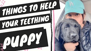 Teething Puppy Tips (Best Teething Puppy Toys)