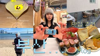 부산 n번째 여행 전문가의 2박3일vlog🪼🐚맛집 푸파하고 카페, 요즘 핫한 이자카야까지 뿌시고옴🥵