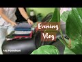 Evening Vlog | Calm & Simple Evening Routine | Vlog | Anu HomeBook