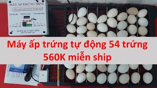 Máy ấp trứng tự động 54 trứng 560K Miễn Ship và cách làm máy ấp trứng chi tiết cực dễ