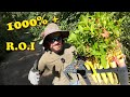 How To Get RICH Selling Plants!!! | The Untold Truth