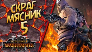 Total War: Warhammer 3 - (Легенда) - Огры / Скраг Мясник #5