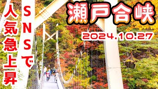 【日光市 川俣ダム】テレビ・SNSで人気急上昇 瀬戸合峡が紅葉見頃に。11月連休おすすめスポット