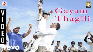 Dhoni Telugu - Gayam Thagili Video | Ilayaraja | Prakash Raj