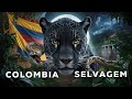 GREAT COLOMBIA: Unexplored Places [Full Documentary]