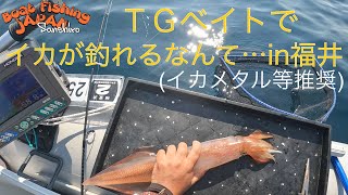 この辺の海域もそろそろシーズン突入in福井県常神半島周辺海域！！！2022年5月27日！ゴムボート釣り、イカメタル、ジギング