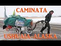 CAMINATA USHUAIA-ALASKA | HABLÉ CON MARTIN ECHEGARAY DAVIES | CAMINATA DE LAS 3 AMERICAS