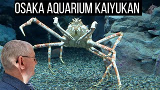 Exploring The Wonders Of Osaka's Spectacular Aquarium
