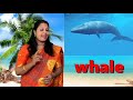 Animals and their sound /Sea animals