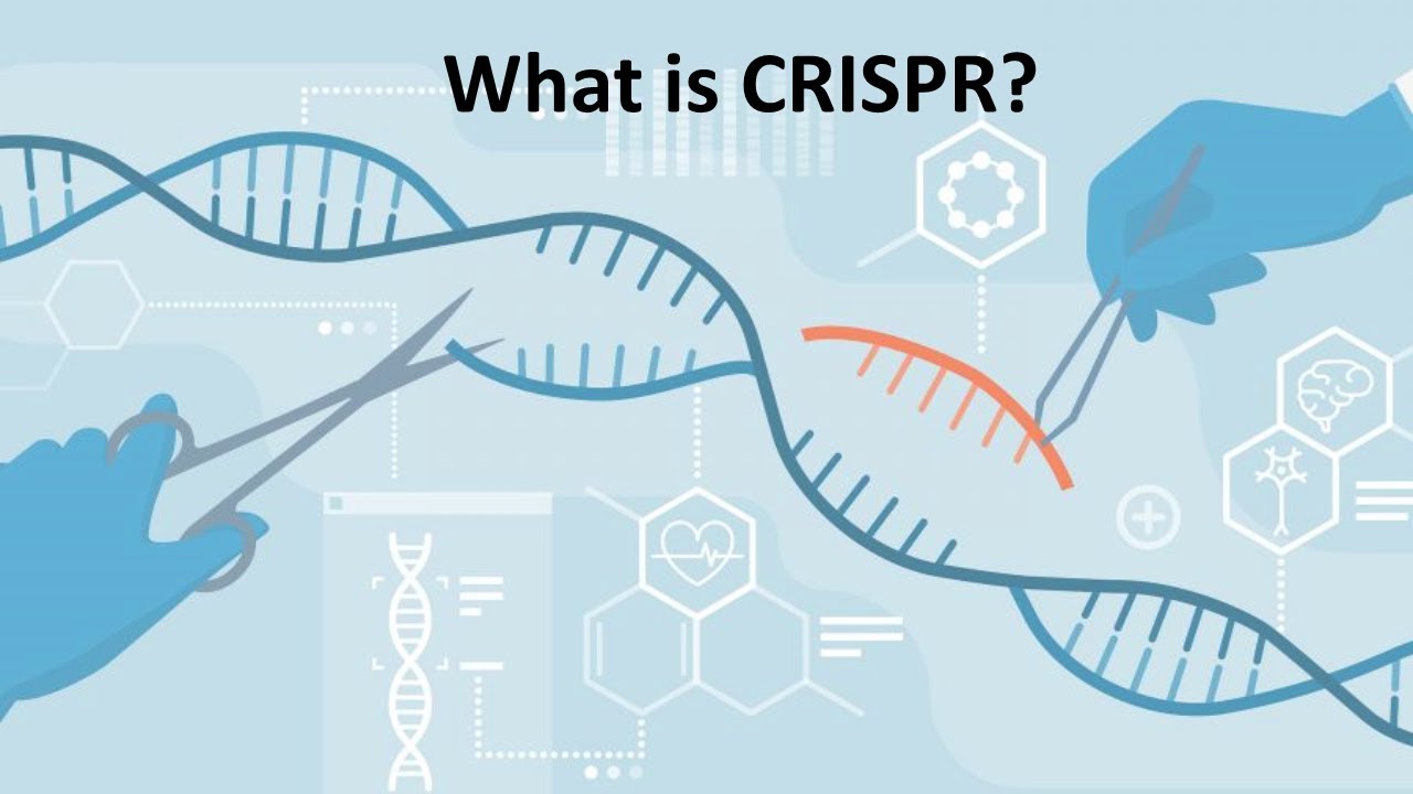 Crispr Cas9 Explained Youtube