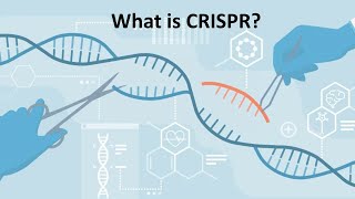 Quick learning of CRISPR/Cas9
