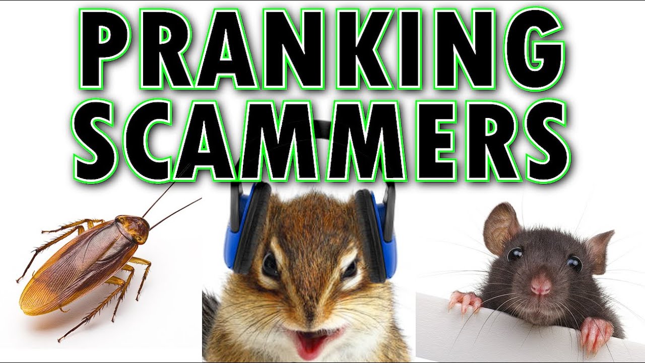 Pranking Scammers ft. Mark Rober