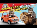 Hilarious Cat Adventures From Driving to Lion Riding! | Furry feline tales