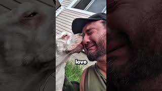 Dying Dog Comforts Owner in Final Moments, Leaving Him Truly Alone #shorts