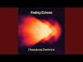 Fading Echoes