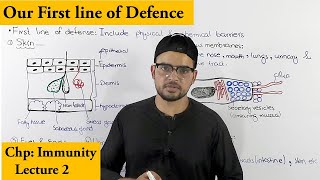 First line of Defence | Physical & chemical barriers |