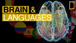 Brain Sides and New Language Learning | Science