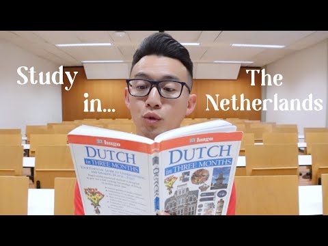 What is master level Netherlands?