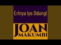 Erinya Lyo Ddungi
