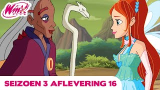 Winx Club | Winx Club | VOLLEDIGE AFLEVERING | Serie 3 Aflevering 16