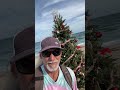 Christmas tree on the beach ￼