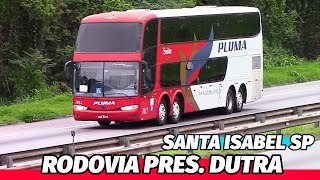 MOVIMENTAÇÃO DE ÔNIBUS na RODOVIA PRESIDENTE DUTRA - OS MAIS BELOS ÔNIBUS NO TRECHO!