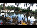 Meranduk HARUAN kebun sawit banjir | Casting Haruan Exp TT II Frog