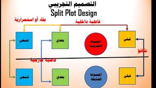 تحليل التباين الثنائي ذو القياسات المتكررة باستخدام SPSS   Two Way Anova with Repeated Measures