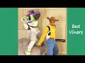 Try Not To Laugh or Grin While Watching Funny Clean Vines #77 - Best Viners 2023