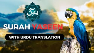 yaseen | yasin | surah yasin (yaseen) | surah yaseen beautiful voice |  yasin surah #003