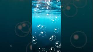 javascript animation | bubbles in html | animation in css and html | html | javascript tutorials