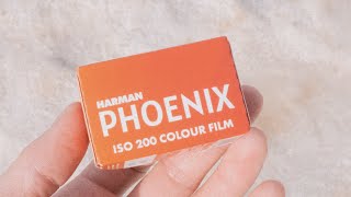 Harman Phoenix - New Color Film 2024