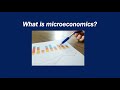 What is microeconomics?